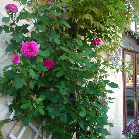 Bed and Breakfast Les Tuileries Ponteyraud Exterior foto